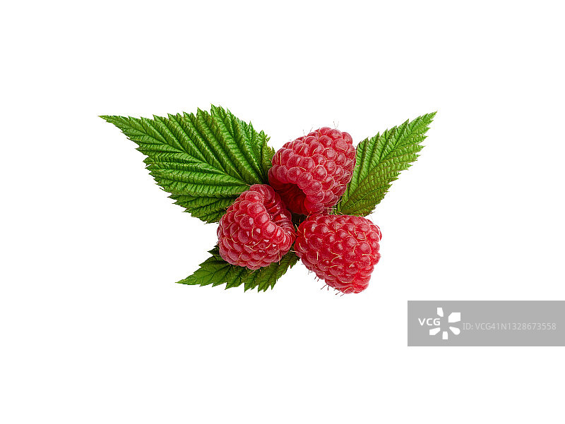 白色背景上带叶新鲜覆盆子图片素材
