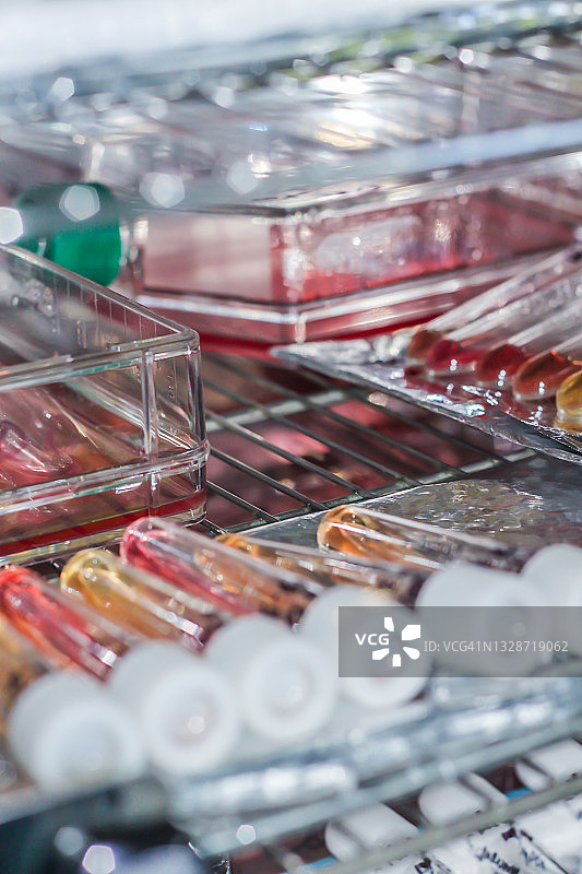 实验室培养箱内的细胞培养管图片素材