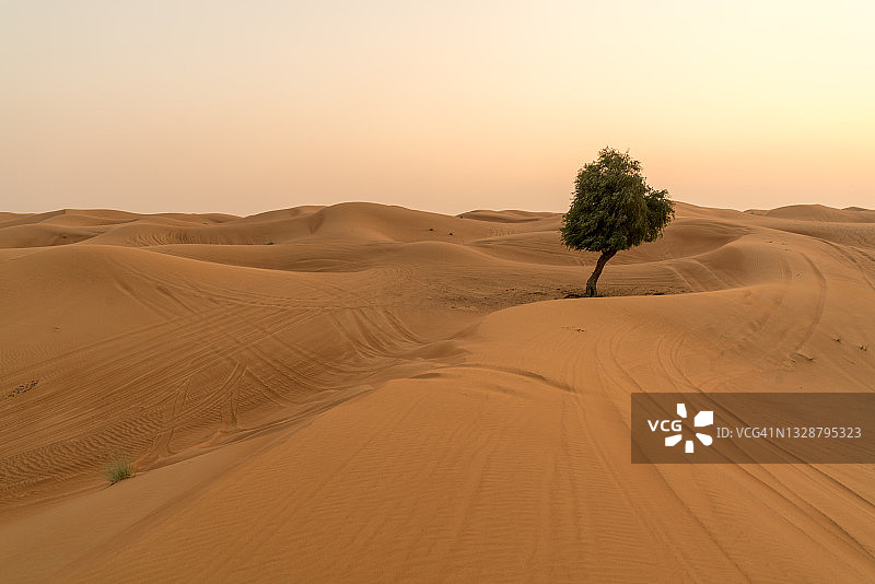 阿联酋沙漠上的金色日落图片素材