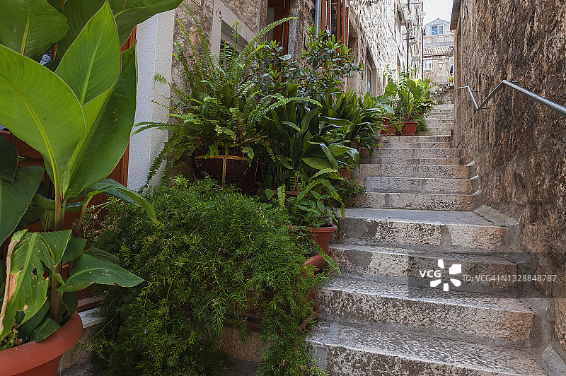 克罗地亚赫瓦尔小镇狭窄小巷里的植物图片素材