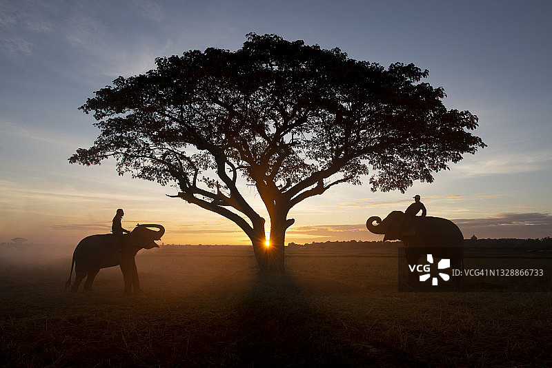 大象村图片素材