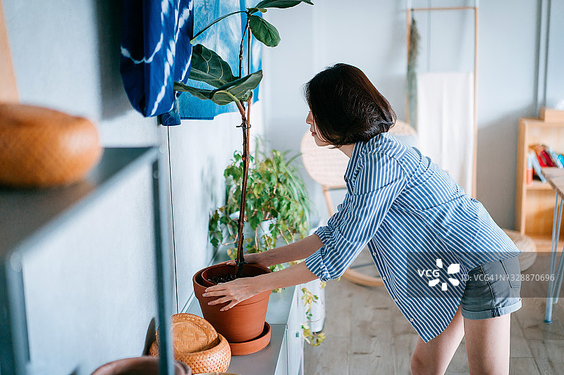 在家照顾和整理盆栽的年轻亚洲女性图片素材