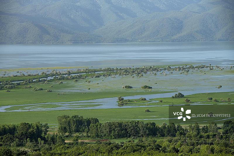 希腊马其顿地区凯尔基尼湖湿地图片素材