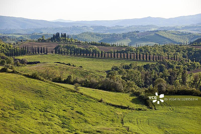 托斯卡纳丘陵景观，背景是地中海柏树，意大利图片素材
