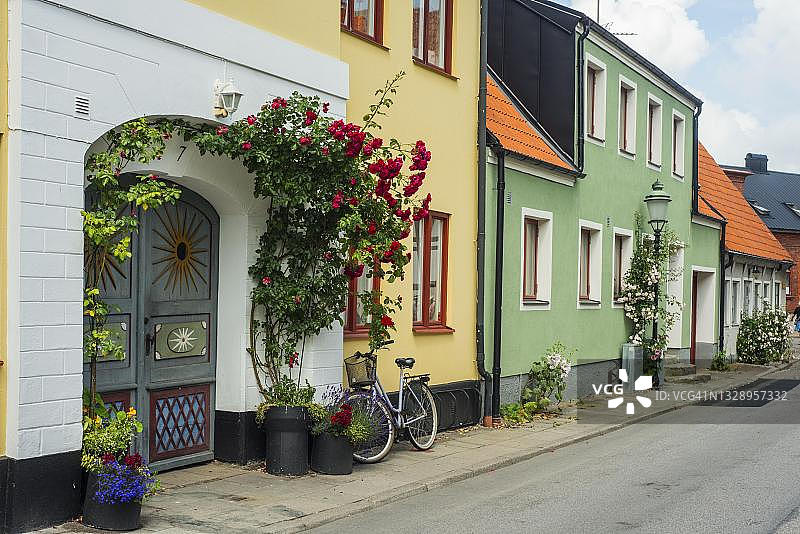 瑞典于斯塔德小街上的玫瑰图片素材