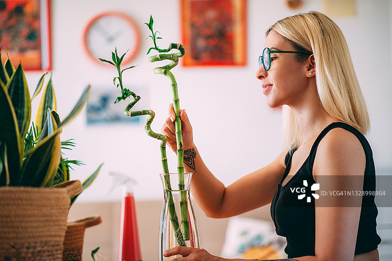 女人照顾富贵竹图片素材