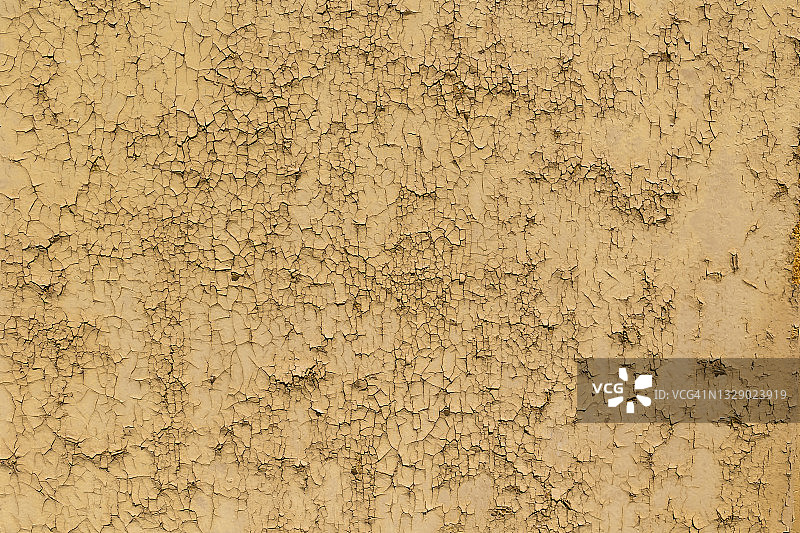 布朗伍德背景图片素材