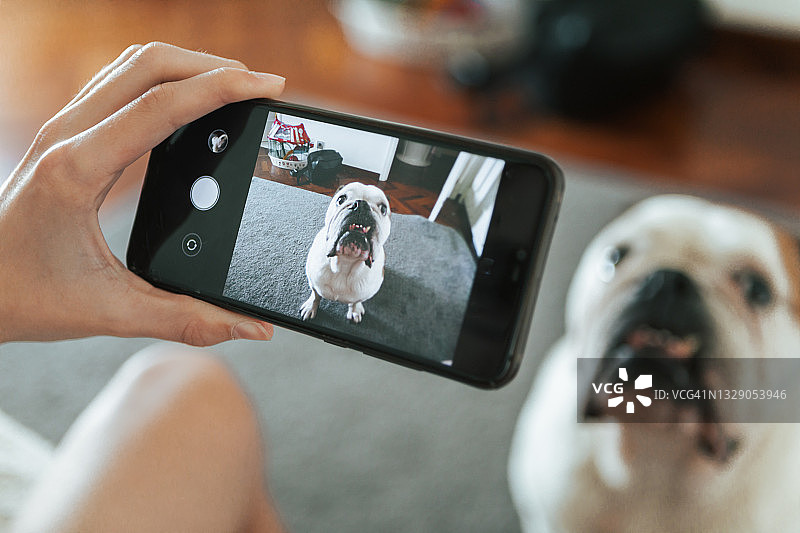 匿名人士在家用手机给他的狗拍照图片素材