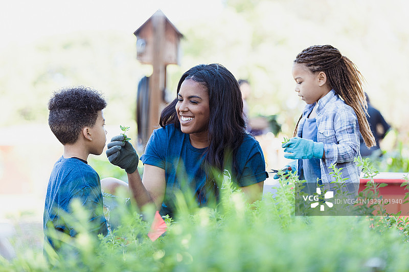 妈妈和孩子们在社区花园做志愿者图片素材