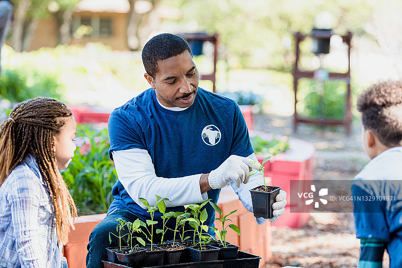 植物学家在社区花园与孩子们谈论植物图片素材