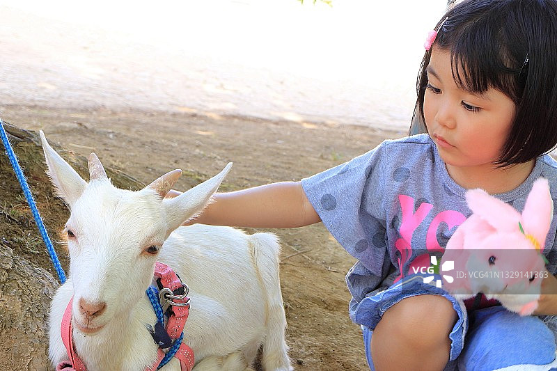 抱着毛绒玩具兔子，拍着小母山羊背部的孩子图片素材