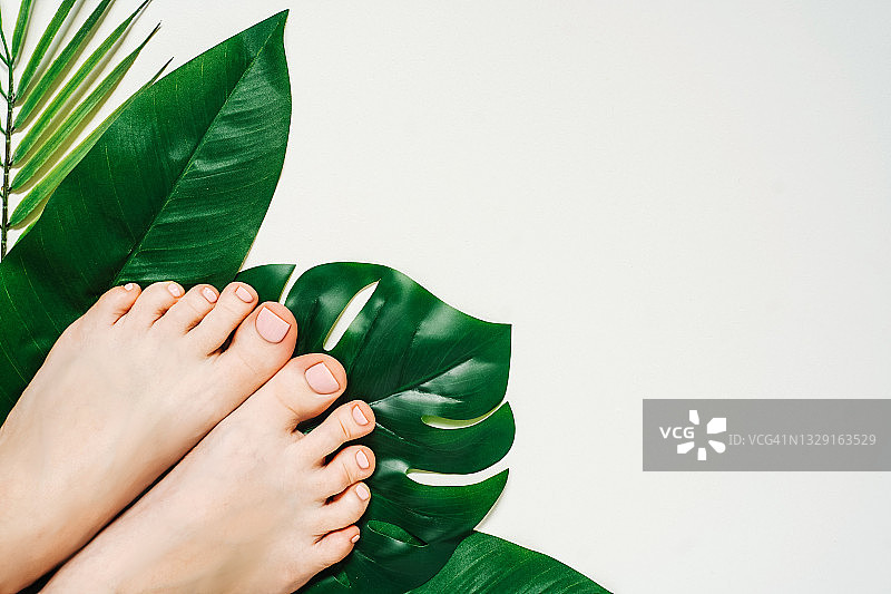 白色背景下的粉色美甲女士脚趾甲与热带树叶图片素材
