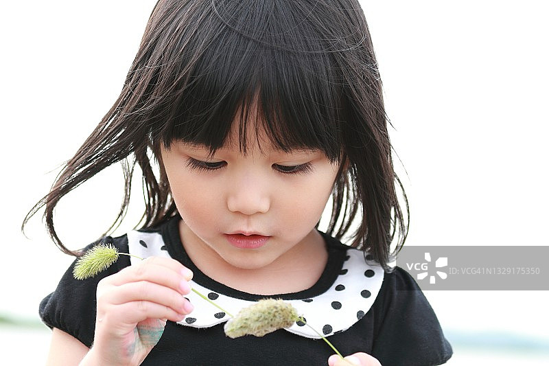 可爱的孩子玩绿色狗尾草图片素材