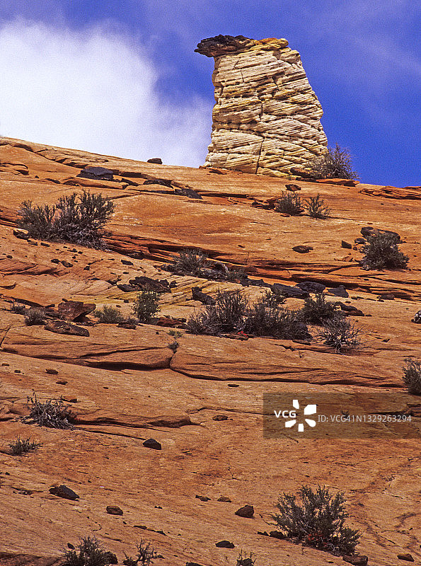 犹他州锡安国家公园的纳瓦霍砂岩和石柱图片素材