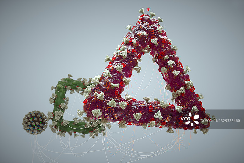 新冠肺炎Delta变异图片素材