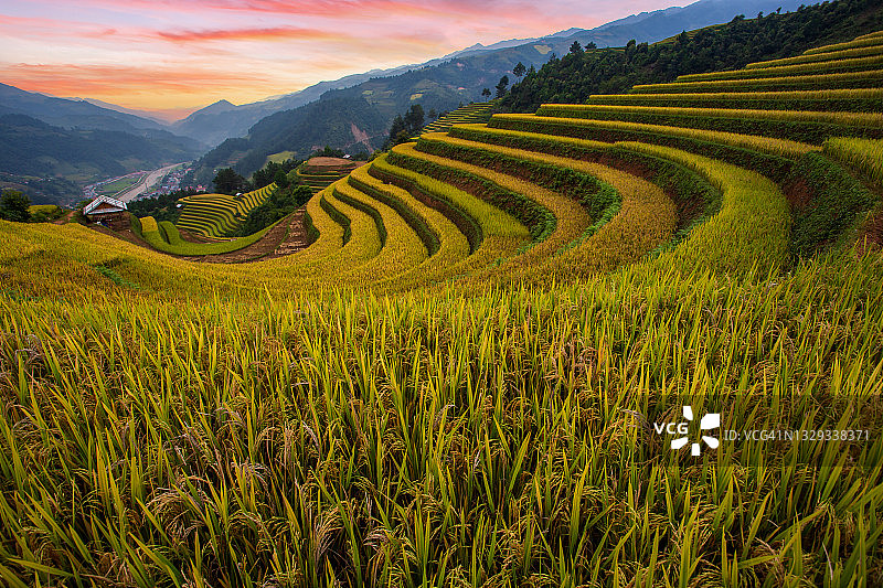 暮色中越南木 Cang Chai 绿色梯田图片素材