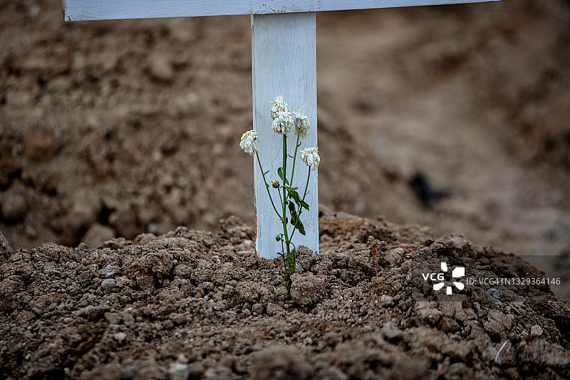 最后的鲜花图片素材
