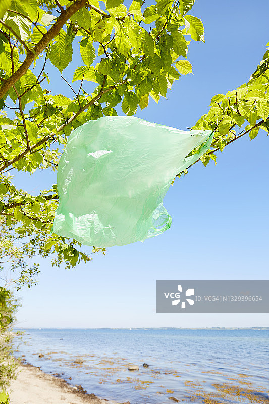 海边树上悬挂的塑料袋图片素材