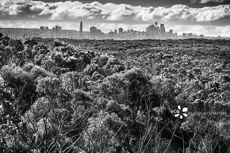 黑白城市天际线和云雾森林图片素材