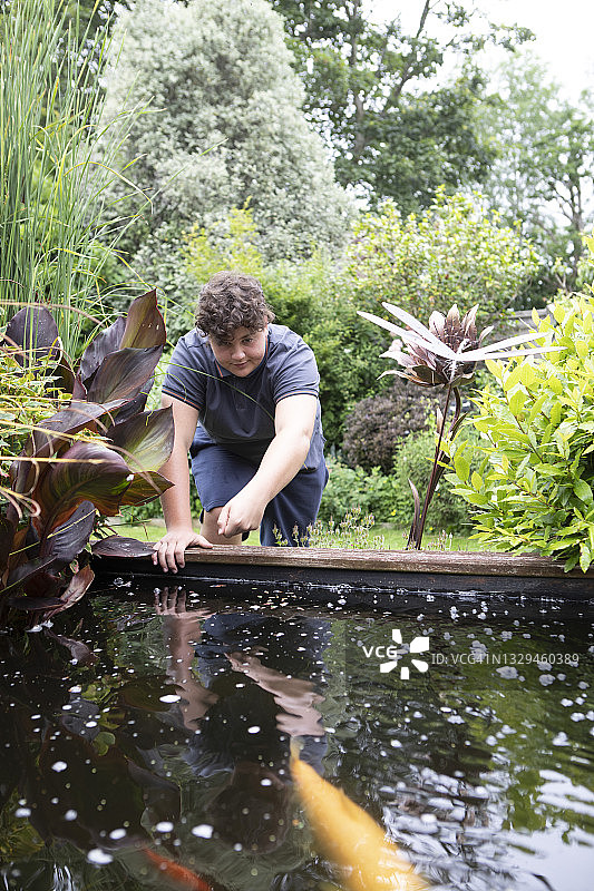 站在花园池塘边喂鱼的青少年男孩图片素材