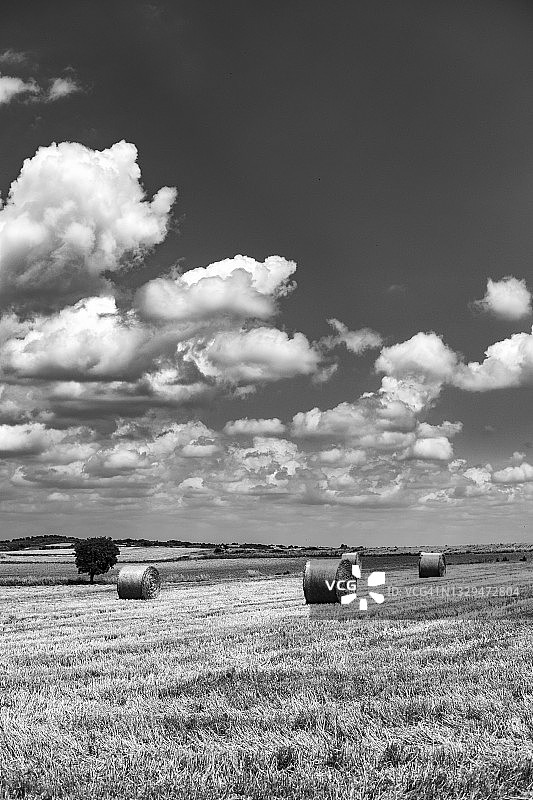 收获的农田图片素材
