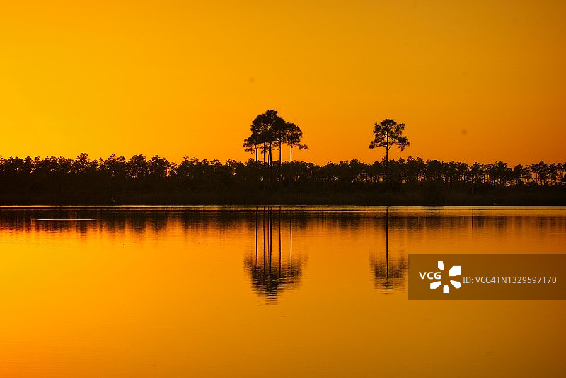 大沼泽地日落图片素材