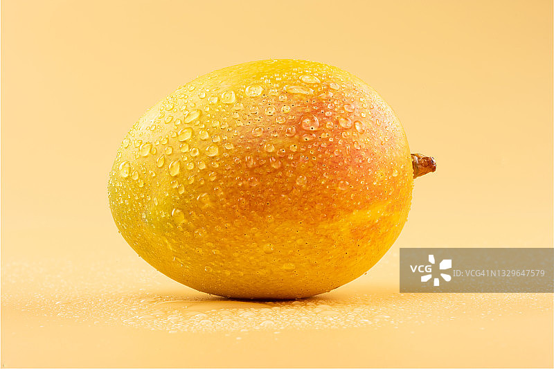 影棚灯光下的香甜成熟芒果图片素材