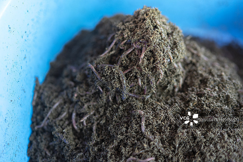 蚯蚓有机肥农业用图片素材