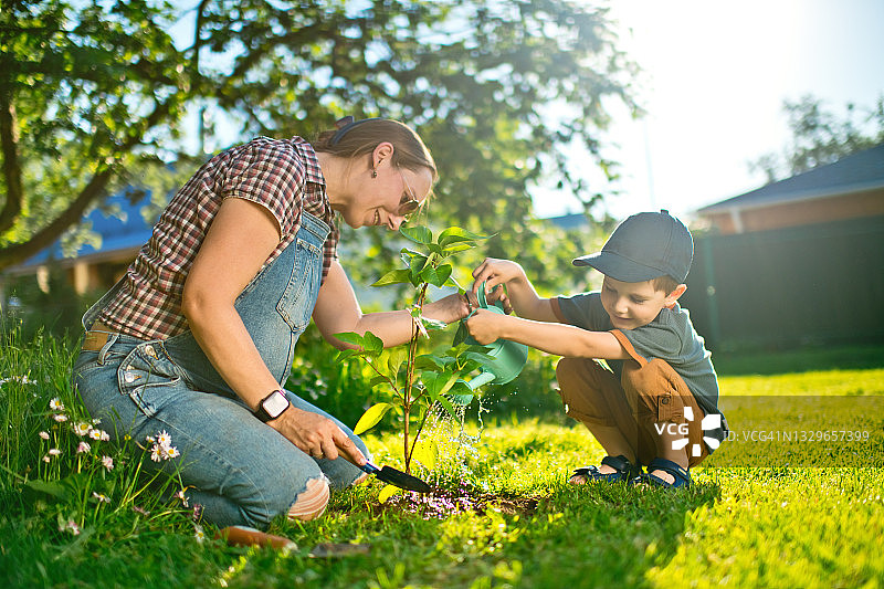 一家人正在植树图片素材