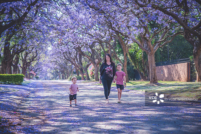 一家三口在春天开满紫色鲜花的街道上嬉戏图片素材