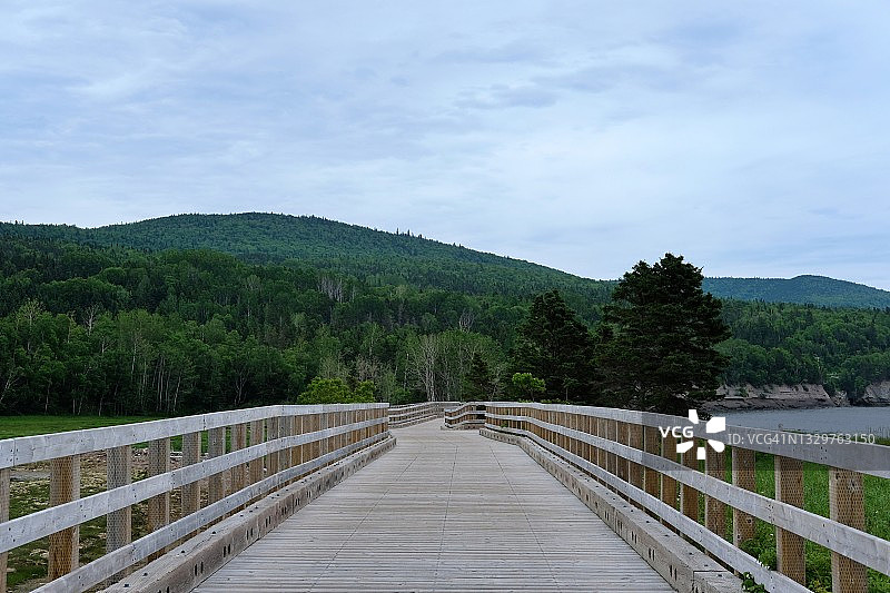 加斯佩西半岛弗里隆国家公园木板路图片素材