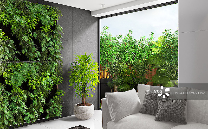 带植物绿墙和花园的现代豪华别墅客厅内饰。图片素材