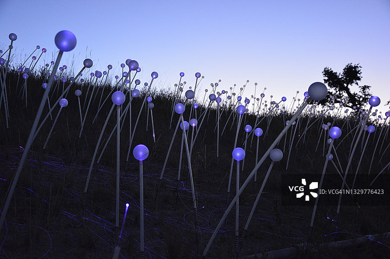 月光花园装置图片素材