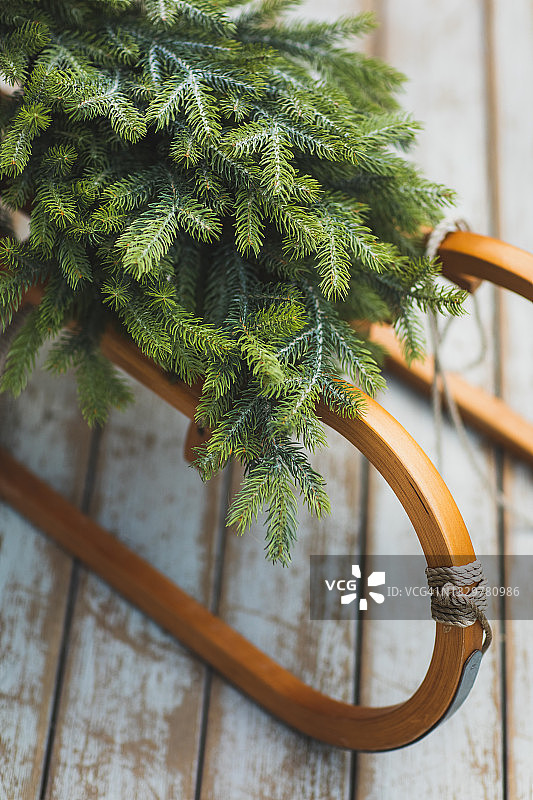 带有绿色圣诞冷杉树的儿童木制雪橇图片素材