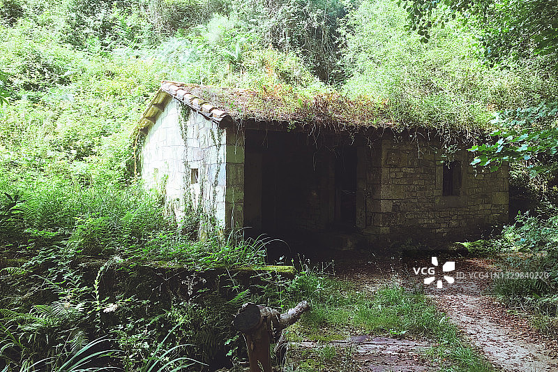 森林中的水力磨坊遗址图片素材
