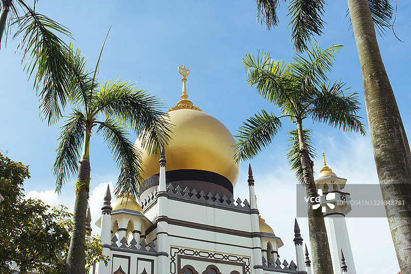 新加坡苏丹清真寺和棕榈树图片素材