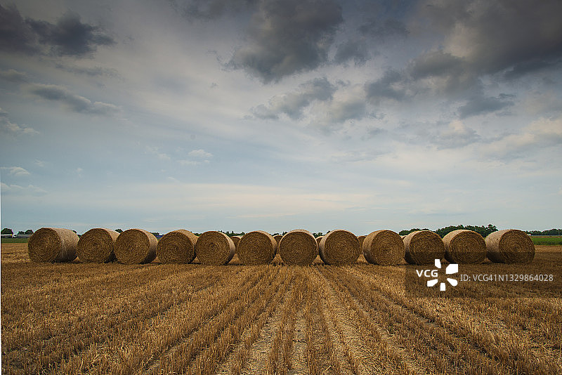 收割后的田地上排列着成捆的干草图片素材