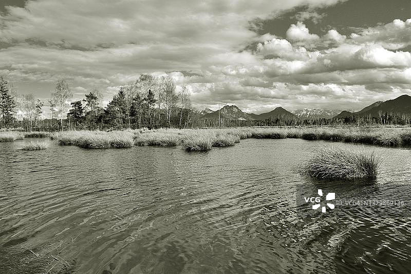 德国巴伐利亚沼泽地池塘水面涟漪图片素材