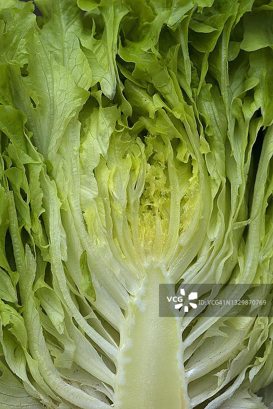 半个生菜，结构，德国巴伐利亚图片素材