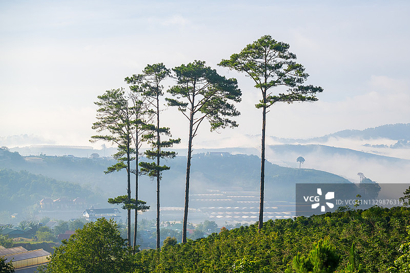 东南亚森林砍伐与农业用地图片素材