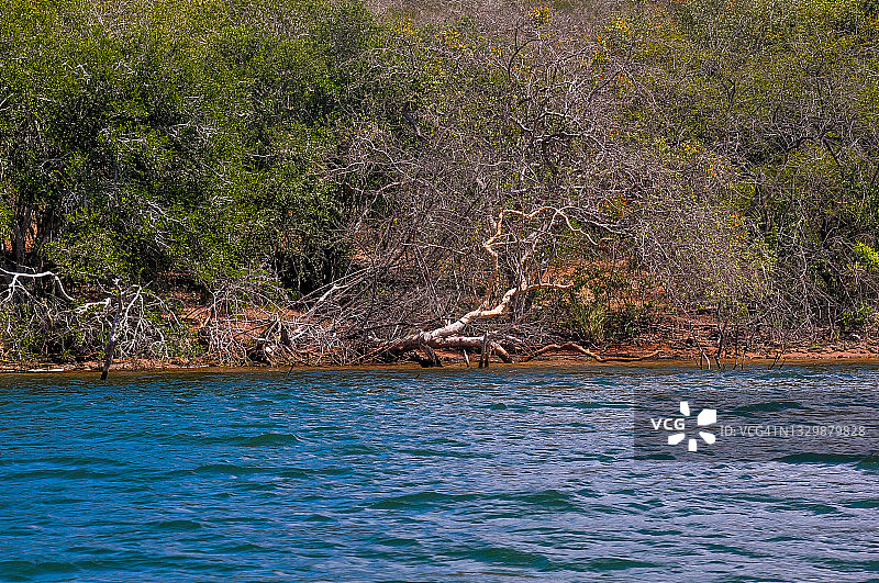 圣弗朗西斯科河的概念视觉图片素材