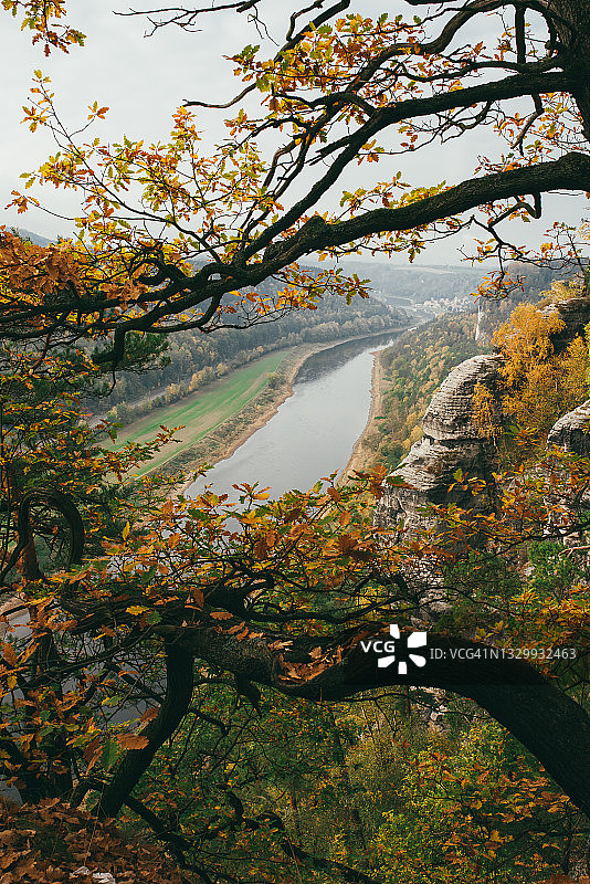萨克森瑞士的秋景：远处的河流与树木图片素材