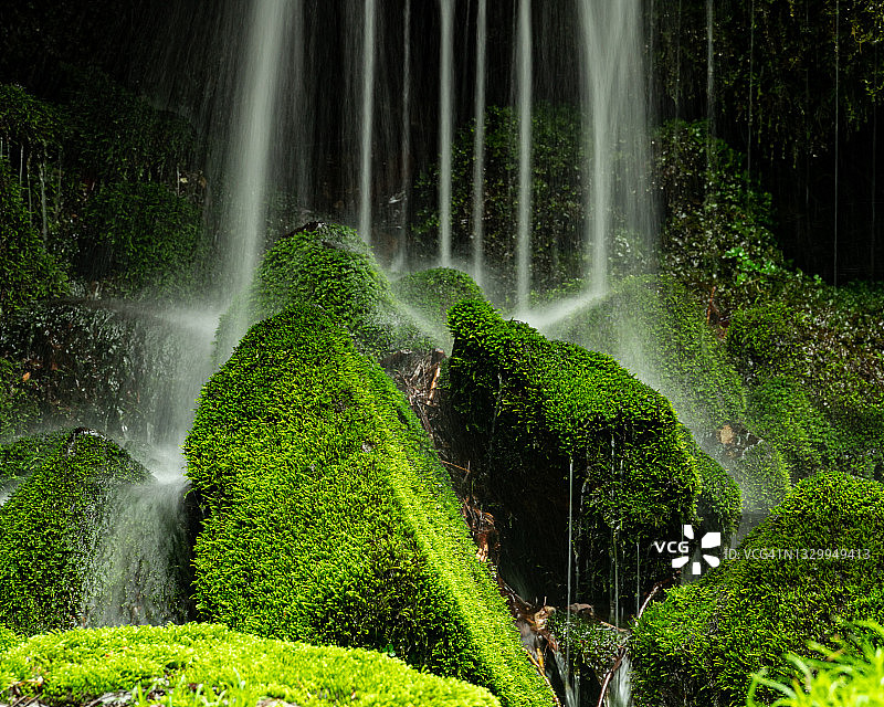 瀑布，苔藓与新鲜的绿色图片素材