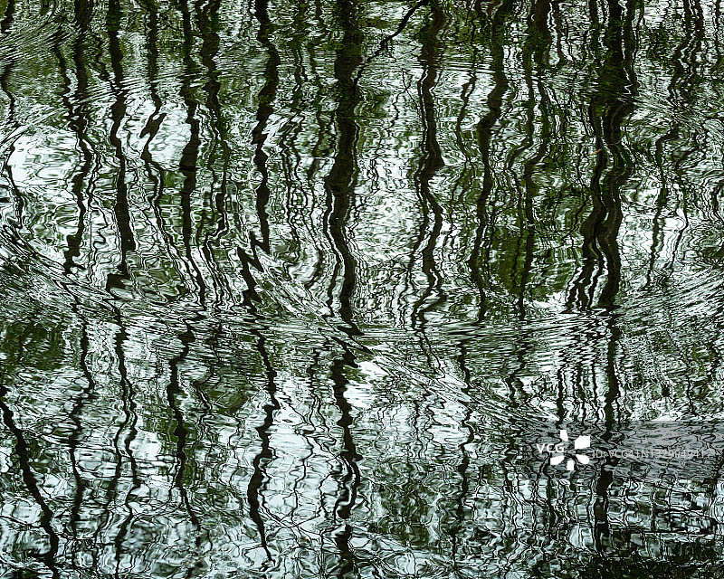 树林中的水面反射图片素材