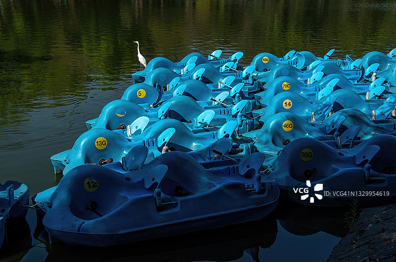 停泊在墨西哥墨西哥城查普尔特佩克公园湖上的脚踏船图片素材