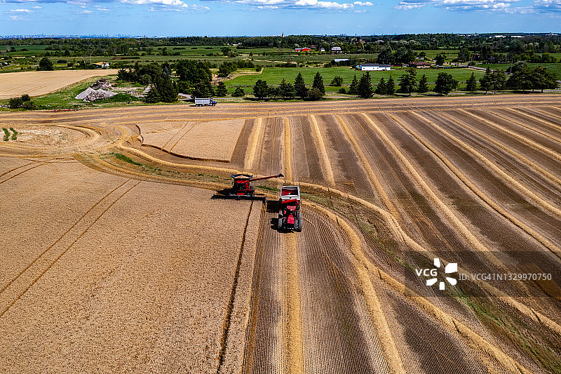 联合收割机在金色麦田收割，加拿大卡列登图片素材