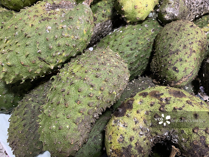 刺果番荔枝或刺番荔枝果实群图片素材