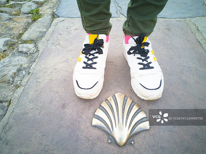 路上的扇贝壳，圣詹姆斯之路图片素材