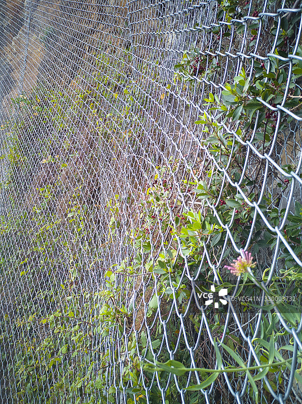 防止山体滑坡的鸡舍网图片素材