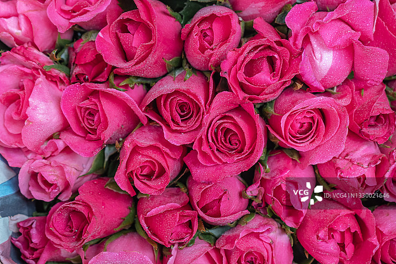 玫瑰花束的特写图片素材